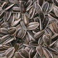 manufacturer from china sunflower seeds health food hulled sunflower seeds 4