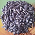 manufacturer from china sunflower seeds health food hulled sunflower seeds 5