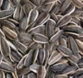 new arrival Organic sunflower seeds in shell 4