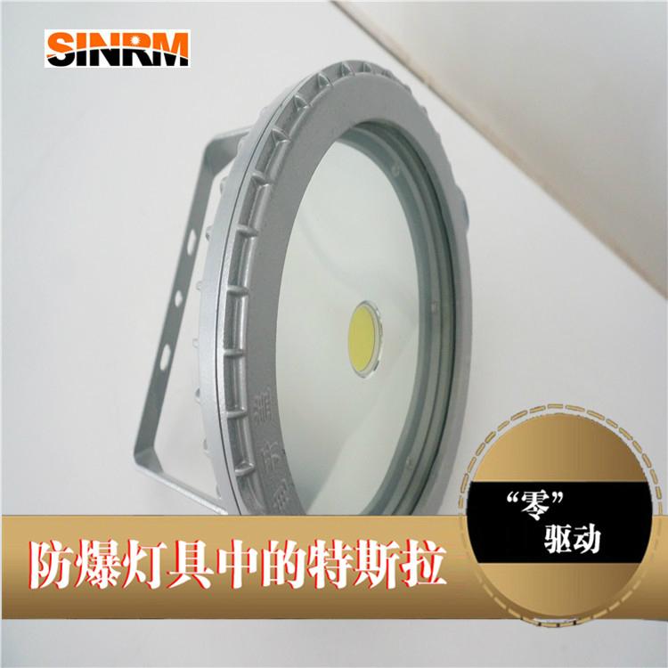 供应江苏新黎明防爆灯BZD282-LED22W