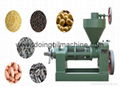 Sunflower screw oil press machine 4