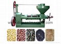 Sunflower screw oil press machine 1