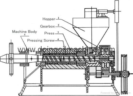 Mini oil expeller machine with factory price  3