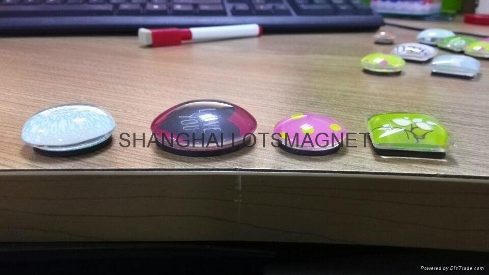 Colourful D25/30/40 magnetic push pin whiteboard magnet button 4