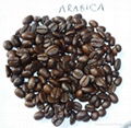 ARABICA ROASTED COFFEE BEANS