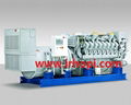 Diesel Genset Iran Supplier