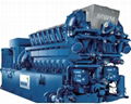 Gas Genset Iran Supplier