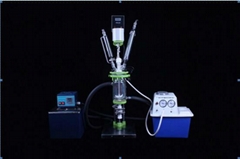 Speed-adjustable Glass Reactor JQ1-5L