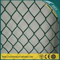 Guangzhou Chain link mesh/ galvanized chain link mesh 3