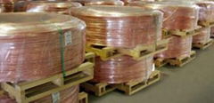 Copper Wire Scrap for sale with good price!!