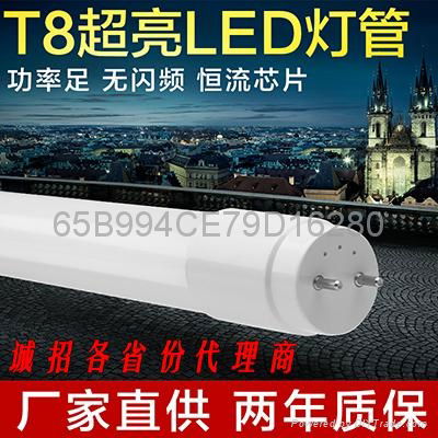 LED T8灯管