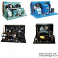 Hermetic rotary compressor refrigeration unit for cold room and cabinet cooling