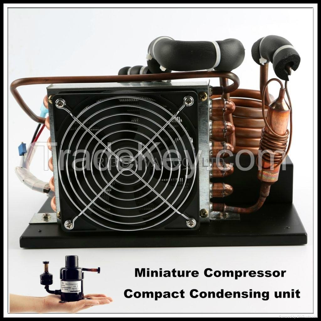 Portable DC Compressor Condensing Unit for Refrigeration and Air Conditioning