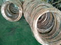 Copper Coated Steel Tape 4