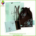 Hot Sale Paper Bag for Cosmetic Packaging 2