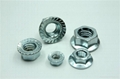 Standard Part Hex Flange Nut