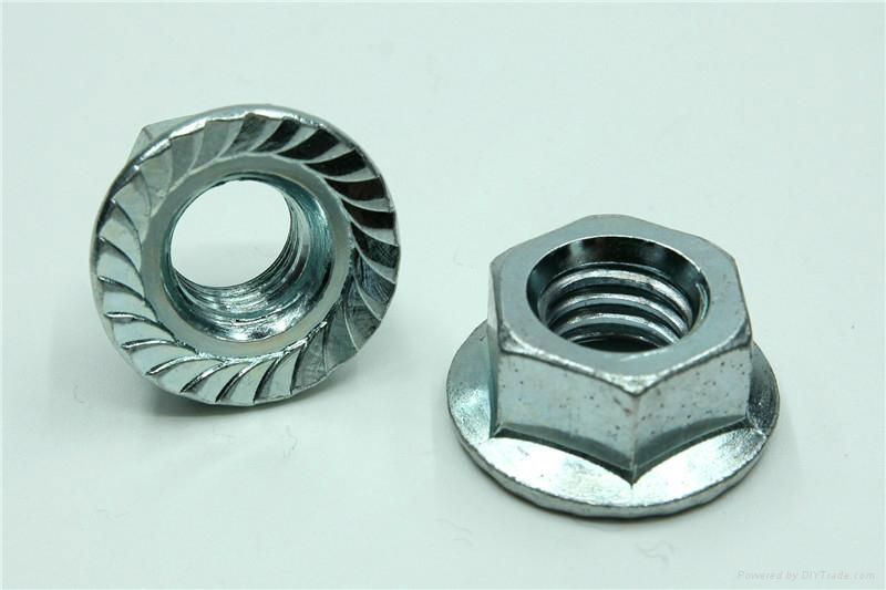 Standard Part Hex Flange Nut 3