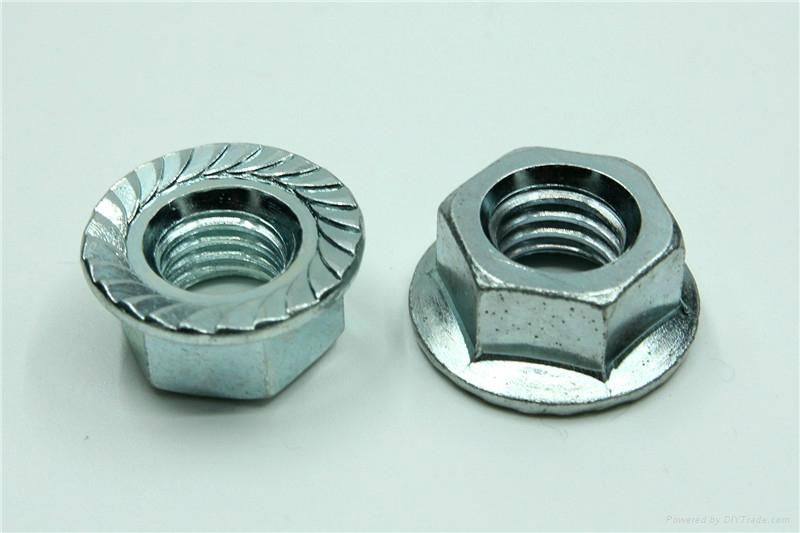 Standard Part Hex Flange Nut 5