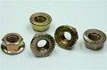 Hex Flange Nuts Class 6/8/10 3