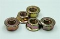 Hex Flange Nuts Class 6/8/10 5