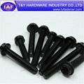 Aluminium Black Anodized Bolts