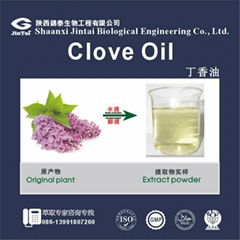 85%  indonesia eugenol liquid clove oil