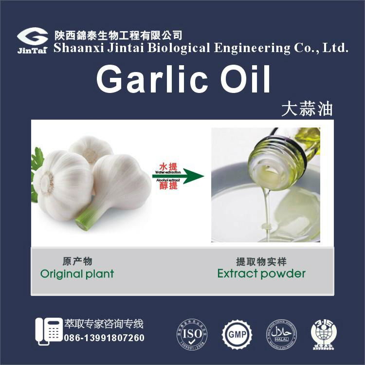 manufactory wholesale pure extract garlic oil price
