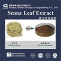 high quality orgnaic 20% Senna Leaf