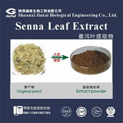 high quality orgnaic 20% Senna Leaf Extract