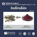 high quality 90%  natural indirubin 1