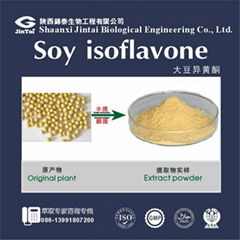 20% natural pure soybean isoflavone powder