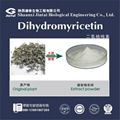 factory supply 50% dihydromyricetin powder