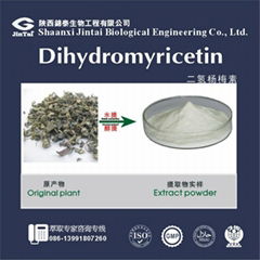 factory supply 98% dihydromyricetin powder