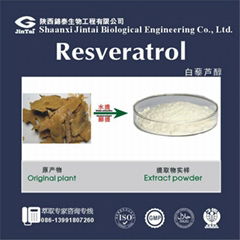 high quality 98% natural resveratrol powder