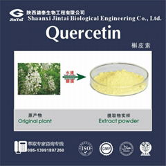 extract powder 98% quercetin 