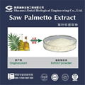 Natural 25% Saw Palmetto