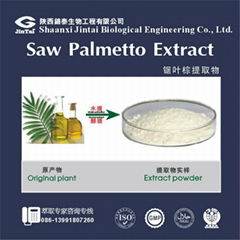 Natural  powder 45% Saw Palmetto