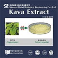 Herbal Kava Powder Extract  50%