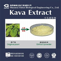Herbal Kava Powder Extract  50%  