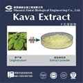 Herbal Kava Powder Extract  70%  1