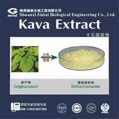 Herbal Kava Powder Extract  70% 