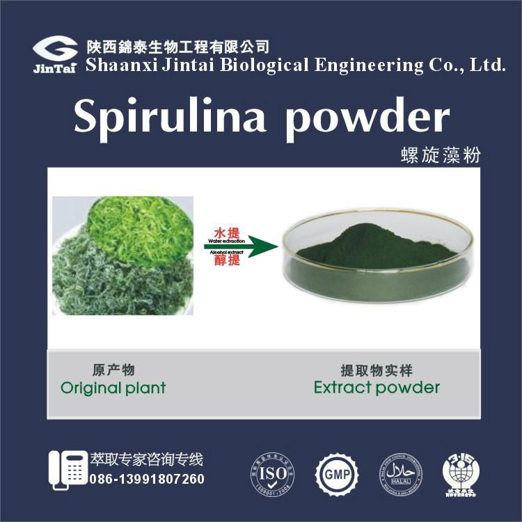 Organic Spirulina Extract Chlorella Powder 60 Protein Powder (China