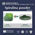 Organic Spirulina Extract Chlorella Powder 60% Protein Powder