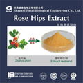 high quality rose hip extract 5% 1