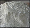 Bentonite 1