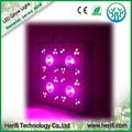 Indoor greenhouse intergrate cob led grow light full spectrum 200w 400w 600w 5