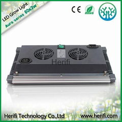 Full spetrum led grow lights 120w-1600w, led grow made in China