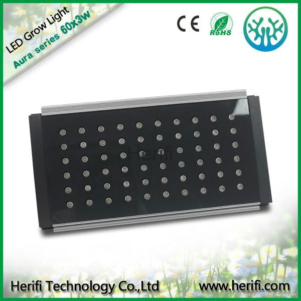Full spetrum led grow lights 120w-1600w, led grow made in China 4