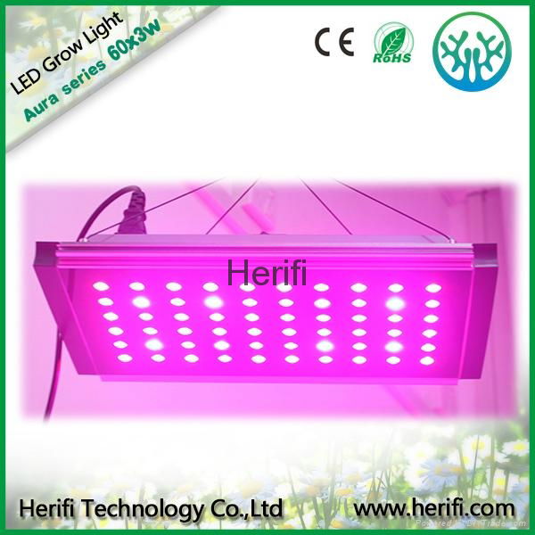 Full spetrum led grow lights 120w-1600w, led grow made in China 5