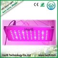 Full spetrum led grow lights 120w-1600w, led grow made in China 5